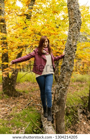 A young girl with reddish hair balances on a fallen trunk on the ground in an autumnal forest of yellow and ocher colors in Montanchez, Caceres, Extremadura.