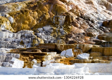Mammoth Hot Springs, Palette Spring, lower terrace, Yellowstone National Park, Montana, Wyoming, Idaho, USA.