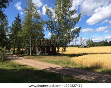 Picture of a wheat farm in the Finnish countryside during summer. Forest background and beautiful blue and cloudy sky. Also includes horizontal dirt road. Includes 2 sheds.