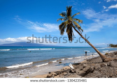 Beach in Hana cost, Maui Island, Hawaii, USA.