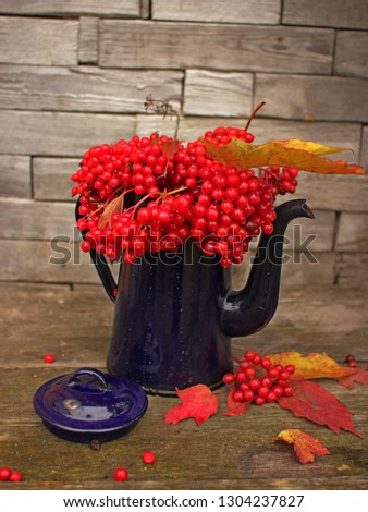 Summer or autumn beautiful picture concept.old coffee pot with  bunch of ripe viburnum on barn boards background.Autumn rustic composition with red berries.Vintage retro instagram style filter effect.