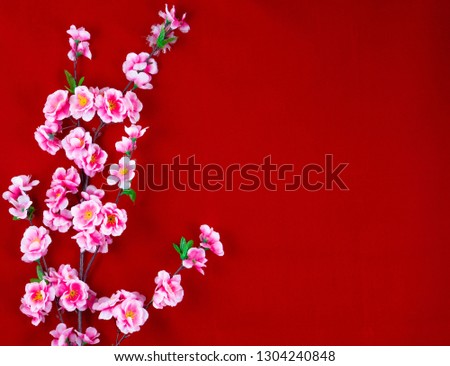 beautiful flowers on a red background