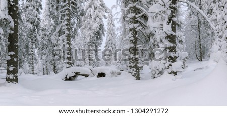 Winter scenery in the mountains