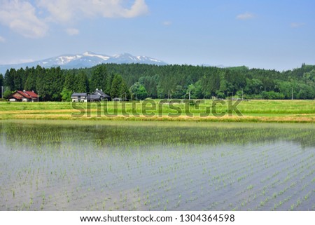 Honedera which is the territory of Hiraizumi