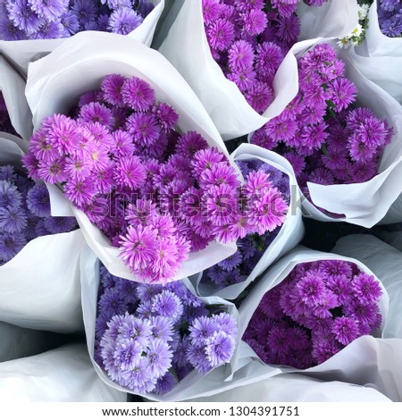 beautiful purple flowers.