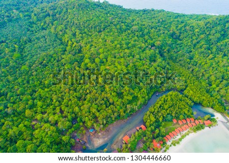 Aerial view of tropical green forest on island