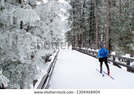 Man cross country skiing (classic skiing) across snow-covered wooden bridge in evergreen forest (Winter) - Methow Valley, Washington, USA