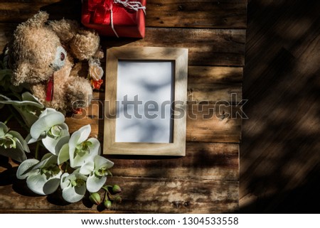Top view photo frame with tree shadow