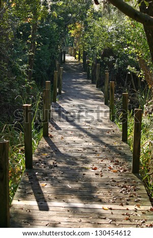 A boarded trail through a thick wooded area