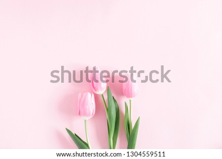 Flowers composition romantic. Flowers pink tulips on pastel pink background. Wedding. Birthday. Happy woman's day. Mothers Day. Valentine's Day. Flat lay, top view, copy space
