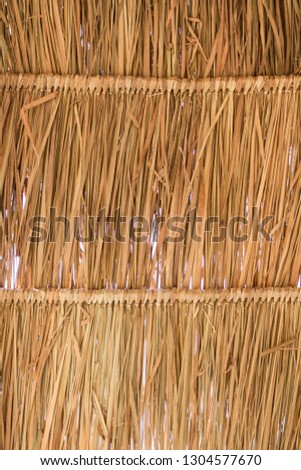 Thatched Roof Texture Background