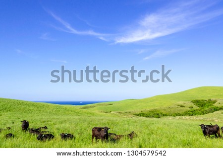 Refreshing ranch at the northern end of Hokkaido Royalty-Free Stock Photo #1304579542