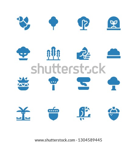 branch icon set. Collection of 16 filled branch icons included Acorn, Toucan, Palm tree, Tree, Bonsai, Botanical, Bush, Leaf, Seaweed, Dove
