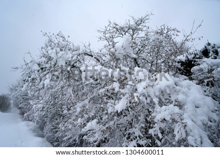 Landscape pictures with a lot of snow in cloudy weather in Germany Bavaria included              