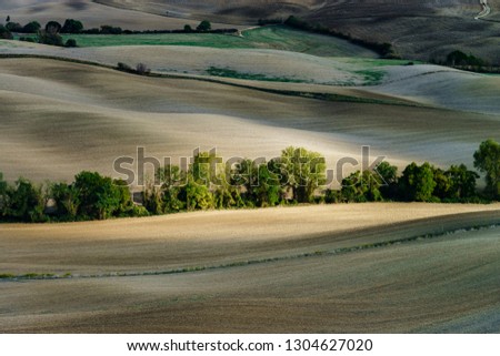 Autumn in Italy. Yellow plowed hills of Tuscany with interesting shadows and lines. Agricultural concept landscape.
