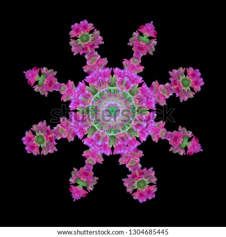 Fine art floral decorative and geometrical color pattern / mandala made from macros of pink green tulips on green background in vintage painting style