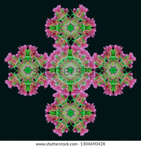 Fine art floral decorative and geometrical color pattern / mandala made from macros of pink green tulips on black  background in vintage painting style