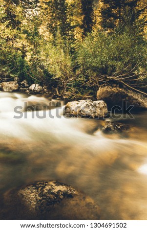 Fast mountain river with stones in stream