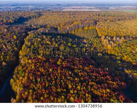 Aerial view of autumn colored forest. Drone shot bird eye. Natural view over the forest. green and yellow, treetops at sunset, copy space, global warming, reserve, home for animals, habitat