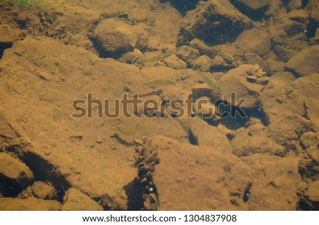 
river bottom with mud