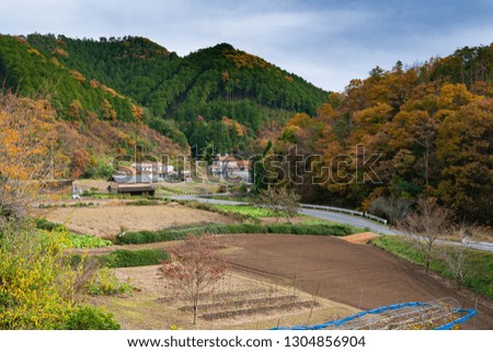 View of rural village in Japan.