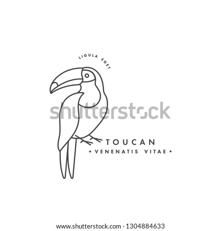 Vector linear logo design toucan bird on white background. Toucan emblems or badges