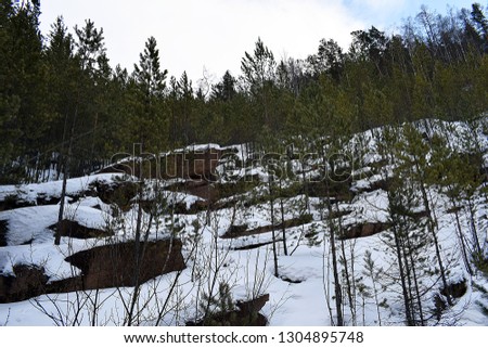 Snowy mountains. Beautiful winter forest. Steep stone slope.