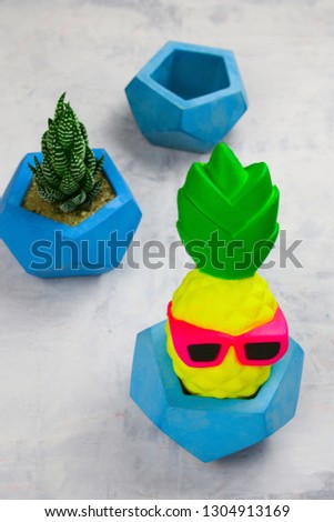 succulents potted in concrete pots and funny pineapple in glasses 