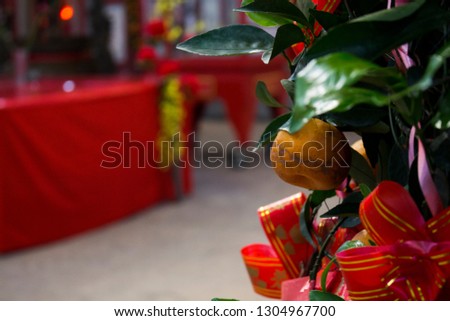 Tangerine orange fruit and tree inside Chinese temple during Chinese New Year 2019.