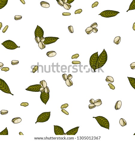 seamless pattern with hand drawn colored pistachios and leaves white background