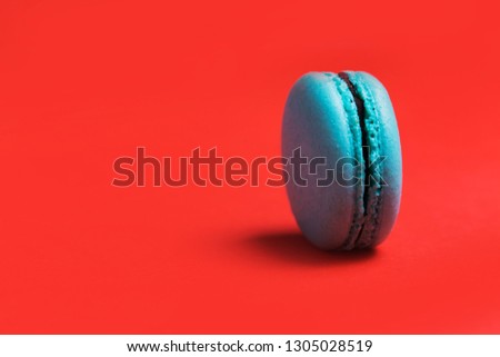 One blue French macaroon on a colorful red background, closeup. Copy space
