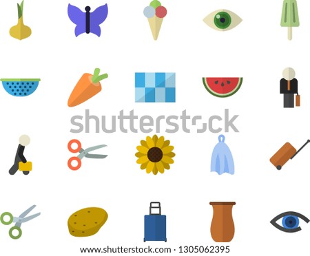 Color flat icon set tile flat vector, colander, towel, jugful, potato, onion, carrot, watermelon, ice cream, flower, butterflies, businessman, luggage fector, scissors, eye