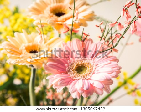 Bunch of beautiful flowers gerbera closeup. Woman, mother day greeting card.