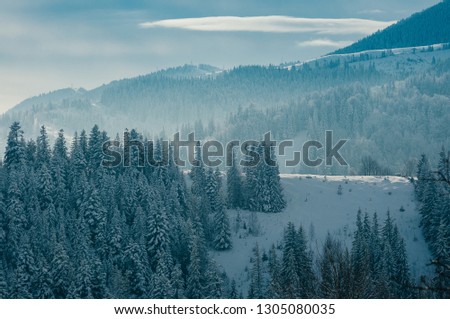 Breathtaking winter mountain landscape covered with snow, forests in the misty distant backdrop. Picturesque and peaceful wintry scene European resort location. Sunny day with clouds. Copy space