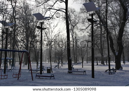 Winter frosty day. Large city park covered with snow. Light frosty blue fog. Original lights stand among the trees in the playground.