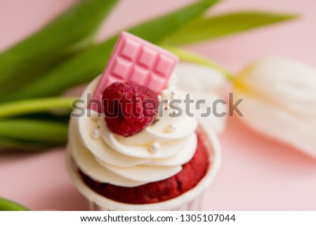 cupcake and tulips on pink background.copy spase.Delicious cake