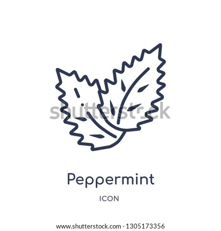 peppermint icon from nature outline collection. Thin line peppermint icon isolated on white background. Royalty-Free Stock Photo #1305173356