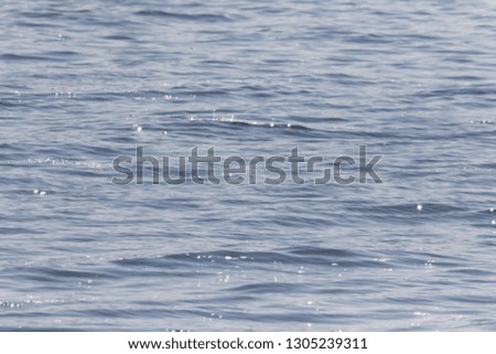 Sparkling Lake Water Background