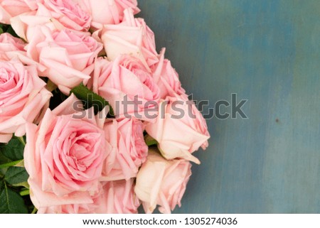 Pink fresh roses