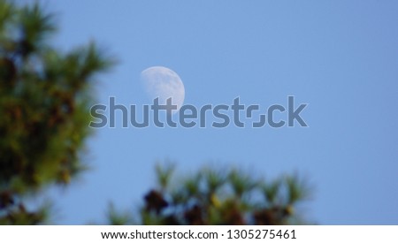 Moon during the daytime.