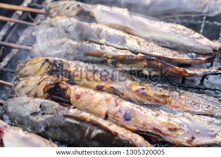 Close-up picture of catfish, grilled skewers in a grill on a charcoal stove, which is commonly found in the Thai rural market.