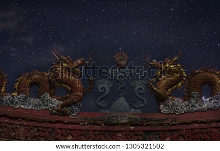 Statue of a dragon at night in the moon