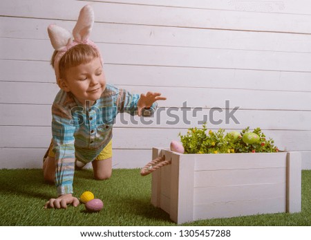 Child boy in bunny rabbit ears hunting on painted eggs. Kids gathering colorful eggs from green grass against white wall. Easter hunt concept. Children playing on Easter egg hunt. 