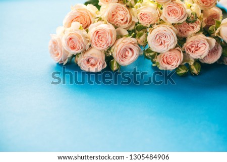 Vintage of pink roses on blue background. Greeting card for Womens day or Mothers day.