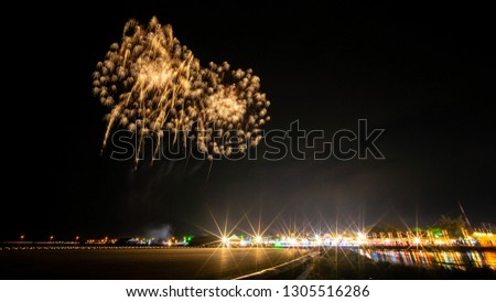 Firework at Night time