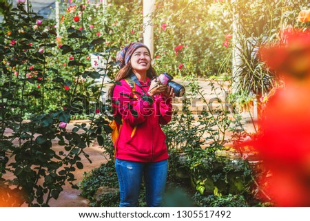 Travel nature relax in the holiday. taking photographs Multicolored roses in the rose garden at doi Inthanon Chiangmai.