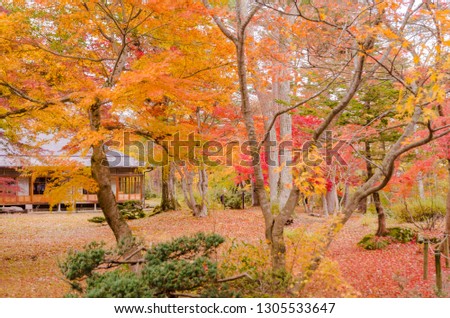 Fukushima Prefecture guesthouse in autumn leaves