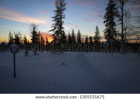 Scenic sunset at winter forest, Lapland, Finland