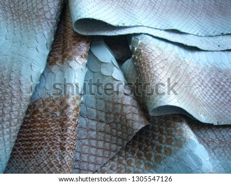 The texture of genuine leather. Painted snake skin. Python skin. Blue leather background.