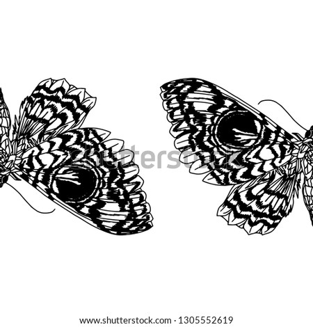 Beautiful hand drawn vector illustration sketching of butterflies. Boho style drawing. Use for postcards, print for t-shirts, posters, wedding invitation, tissue, linens - Vector